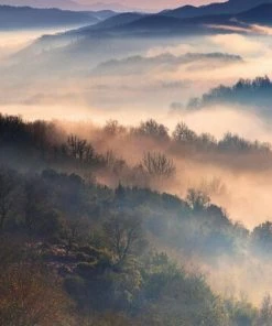 Leinwandbild NEBELIGE WALDLANDSCHAFT - Blau - 70 X 50 Cm