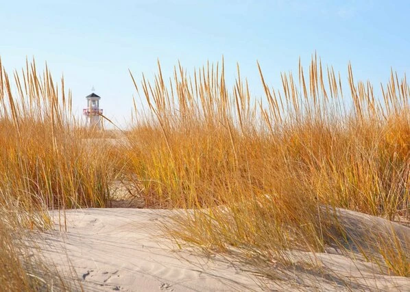 Leinwandbild LEUCHTTURM - Beige-gelb - 70 X 50 Cm