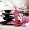 Leinwandbild ORCHIDEE - Pink - 70 X 50 Cm
