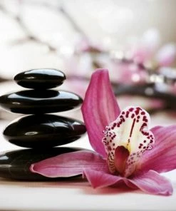 Leinwandbild ORCHIDEE - Pink - 70 X 50 Cm