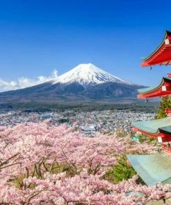 Leinwandbild BERG FUJI - Blau-rosa - 70 X 50 Cm
