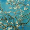 Leinwandbild MANDELBLÜTEN - Blau - 70 X 50 Cm