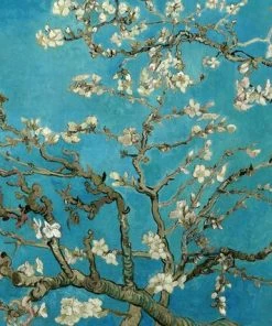 Leinwandbild MANDELBLÜTEN - Blau - 70 X 50 Cm