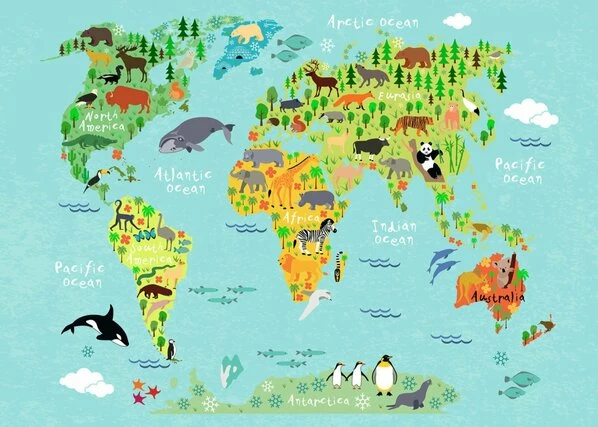 Leinwandbild TIERWELT - Blau-grĂŒn - 70 X 50 Cm