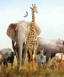 Leinwandbild AFRIKANISCHE TIERE - Blau-grün - 70 X 50 Cm