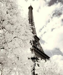 Leinwandbild VERSCHNEITES PARIS - Weiß-grau - 50 X 70 Cm