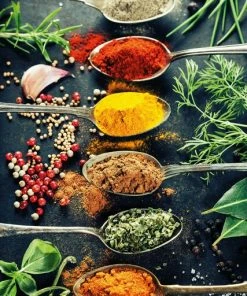 Leinwandbild GEWÜRZE - Schwarz-bunt - 50 X 70 Cm