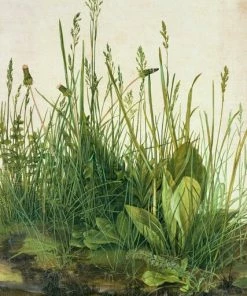 Leinwandbild FARN - Grün - 50 X 70 Cm