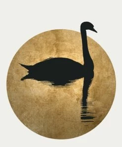 Leinwandbild SCHWANENSEE - Schwarz-gold - 50 X 70 Cm