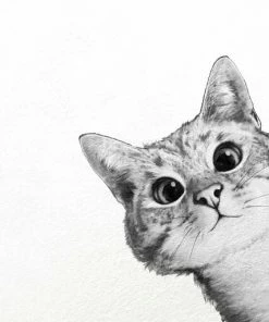 Leinwandbild KATZE - Schwarz-weiß - 50 X 70 Cm