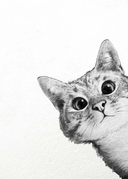 Leinwandbild KATZE - Schwarz-weiß - 50 X 70 Cm