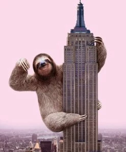 Leinwandbild KING FAULTIER - Rosa-braun - 50 X 70 Cm