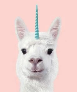 Leinwandbild ALPAKA - Weiß-rosa - 50 X 70 Cm