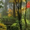 Leinwandbild JAPANISCHER GARTEN - Grün - 100 X 40 Cm