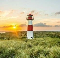 Leinwandbild SYLT - Grün - 100 X 40 Cm