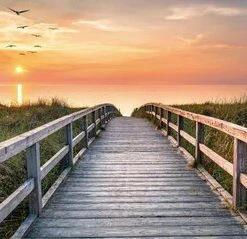 Leinwandbild DÜNE AN DER NORDSEE - Grün-orange - 100 X 40 Cm