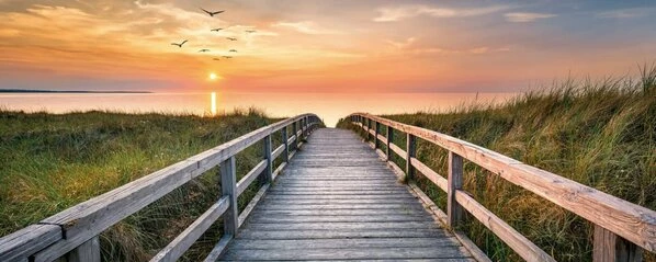 Leinwandbild DÜNE AN DER NORDSEE - Grün-orange - 100 X 40 Cm