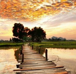 Leinwandbild STEGÜBERGANG - Braun - 100 X 40 Cm