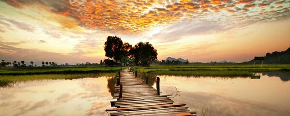 Leinwandbild STEGĂBERGANG - Braun - 100 X 40 Cm