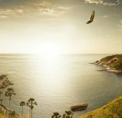 Leinwandbild PARADIES - Braun - 100 X 40 Cm