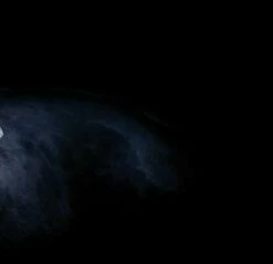 Leinwandbild SCHWARZER PANTHER - Schwarz - 100 X 40 Cm