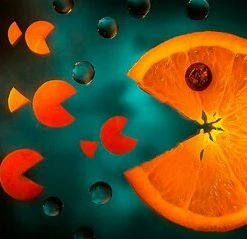 Leinwandbild SÜSSE KAROTTEN - Orange - 100 X 40 Cm