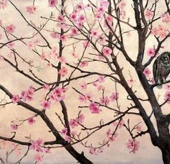 Leinwandbild BLÜTEN - Rosa - 100 X 40 Cm