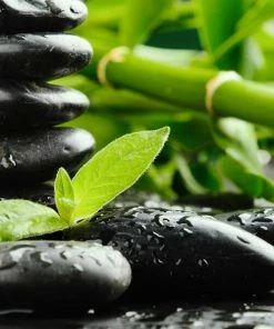 Leinwandbild ZEN-STEINE - Grün - 50 X 50 Cm