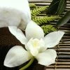 Leinwandbild ORCHIDEE - Weiß - 50 X 50 Cm