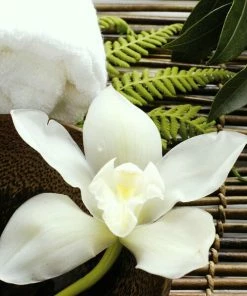 Leinwandbild ORCHIDEE - Weiß - 50 X 50 Cm