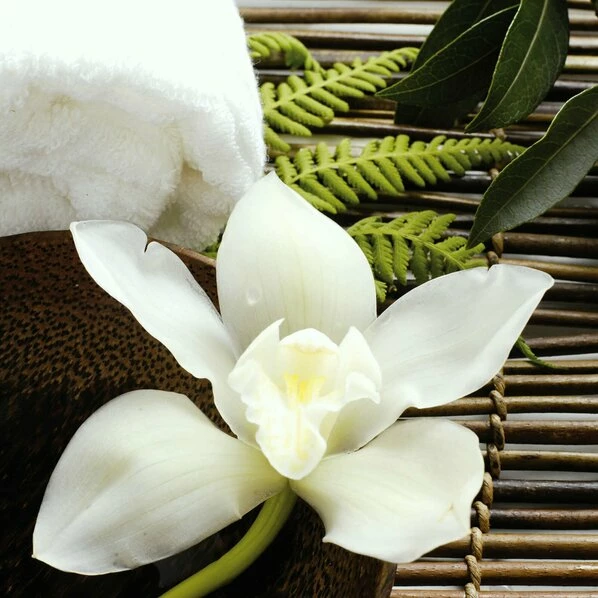 Leinwandbild ORCHIDEE - Weiß - 50 X 50 Cm