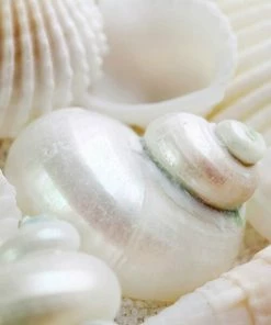 Leinwandbild PERLEN - Weiß - 50 X 50 Cm