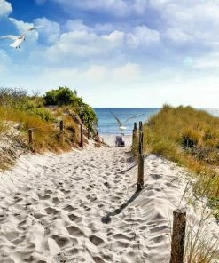 Leinwandbild WEG ZUM STRAND - Blau-grün - 50 X 50 Cm