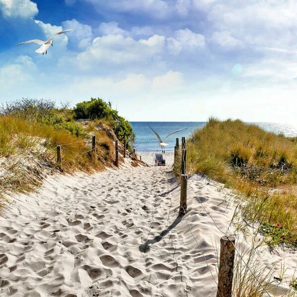 Leinwandbild WEG ZUM STRAND - Blau-grün - 50 X 50 Cm 1 Leinwandbild WEG ZUM STRAND - Blau-grün - 50 X 50 Cm