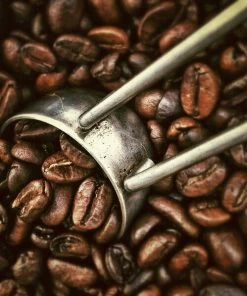 Leinwandbild KAFFEEBOHNEN - Braun - 50 X 50 Cm